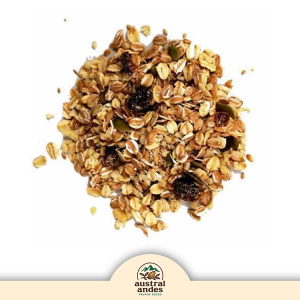 Granola Mix Saludable