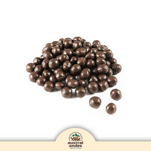 Chocolitos Austral Andes