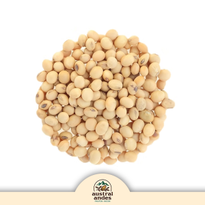 Poroto Soya - 1 Kg.